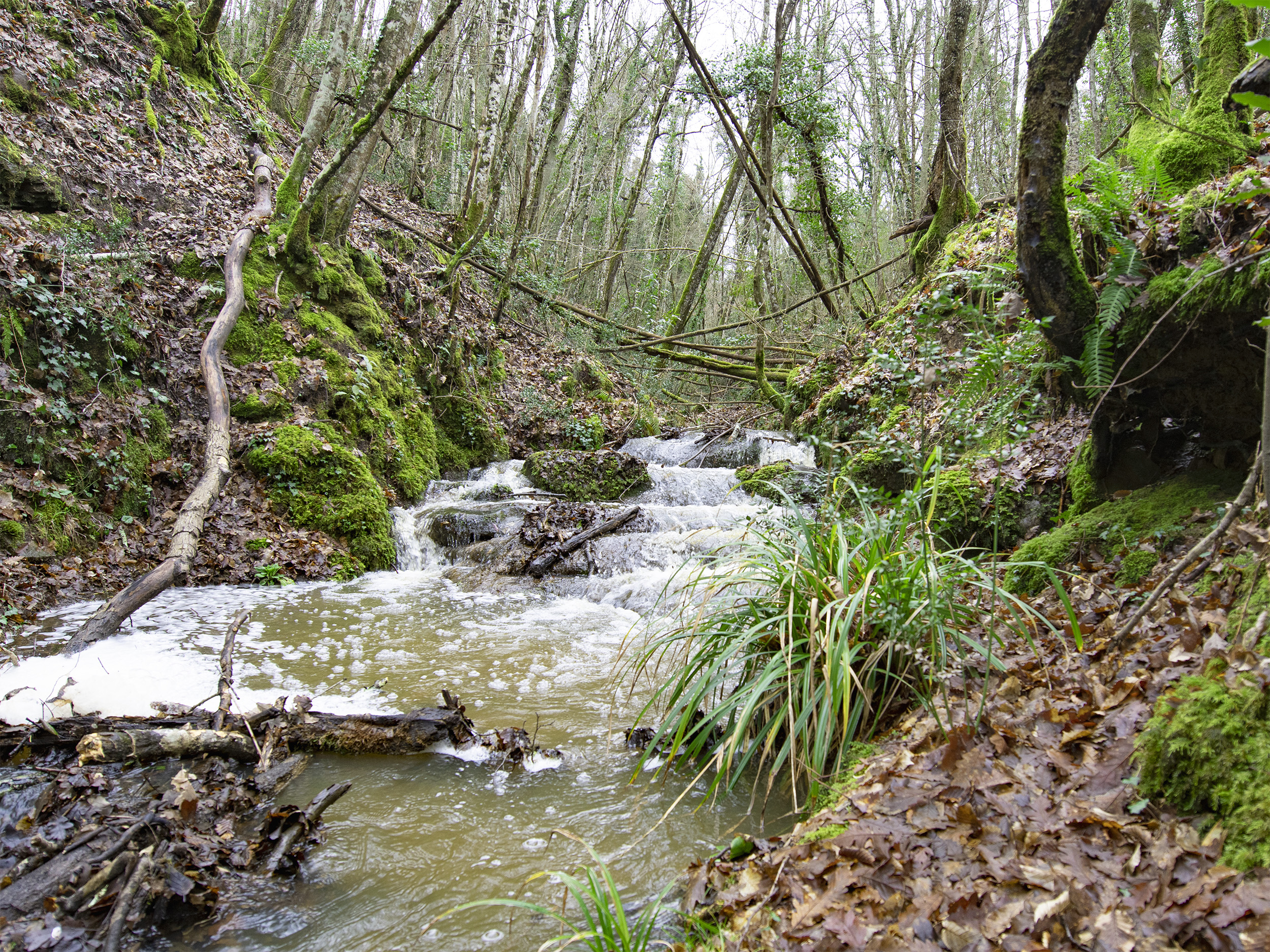 Butarone – Route 2