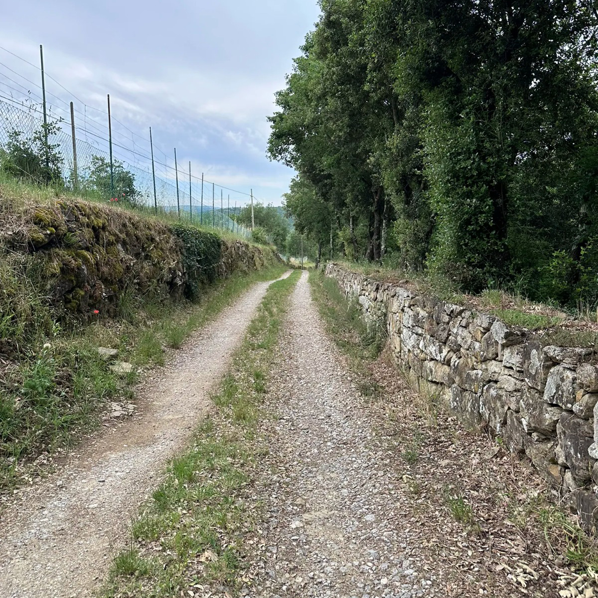 Le Gorghe – Monte San Savino